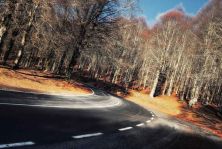 mountain road.jpg
